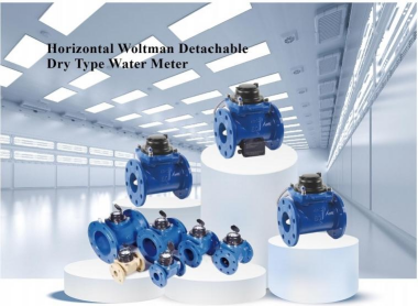 Horizontal Woltman Detachable Water Meter DN(40-300)